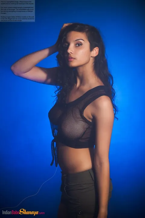 Indian Brunette Poses in Shorts – photo 2 of 16