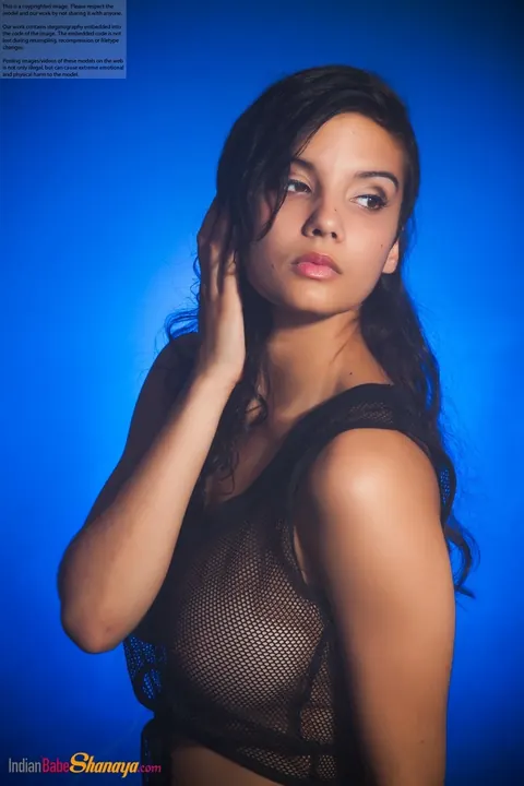 Indian Brunette Poses in Shorts – photo 3 of 16