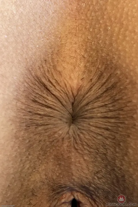 Nina Nieves: Tattooed Latina Undresses and Spreads Her Puffy Pussy – photo 11 of 20