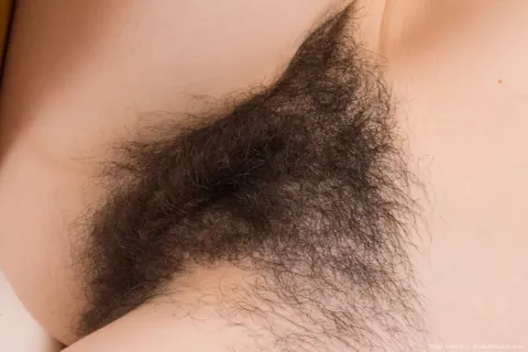 Silki Smith: Curly Brunette in Lingerie Spreads Her Hairy Pussy – photo 14 of 21