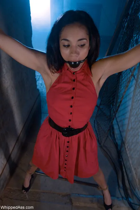Alicia Tease: Tattooed Ebony MILF Dominates in Lesbian Bondage – photo 3 of 21