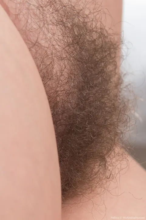 Brunette with Big Tits Pulls Shorts Down to Show Her Hairy Pussy – photo 16 of 21