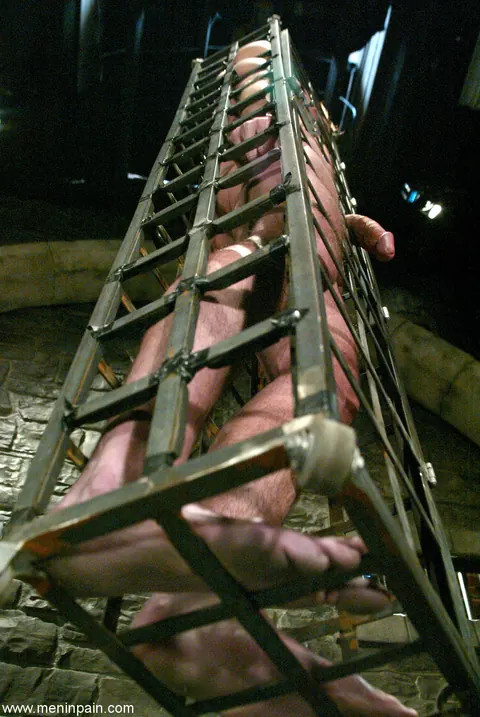 MILF Dominates Caged Man in Femdom Bondage – photo 17 of 17