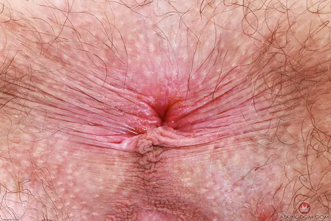 Sia Wood: Slim Brunette in Lingerie Spreads Her Hairy Pussy for Anal – photo 20 of 21