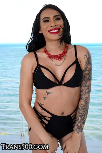 Trans Woman Undresses and Gets Fucked Doggy Style