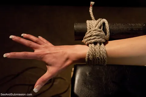 Evilyn Fierce: Petite Brunette Gets Tied Up and Fucked in Bondage – photo 3 of 21
