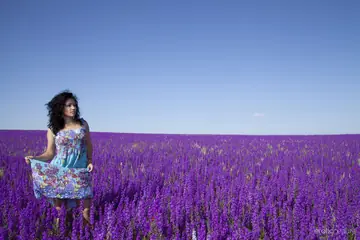 Brunette PAWG Strips and Spreads in a Lavender Field