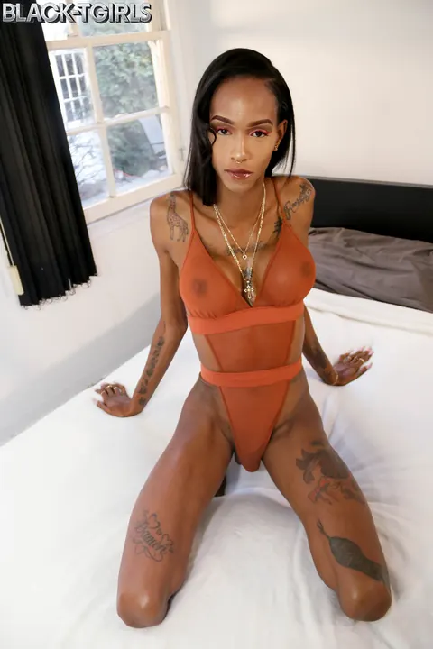 Slim Ebony Trans Woman Strips and Cums – photo 2 of 16