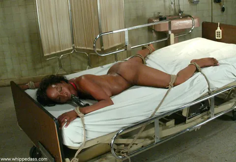 DragonLily: Petite Ebony MILF Takes a Strap-On in Lesbian BDSM – photo 17 of 20