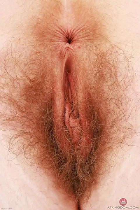Apricot Pitts: Blonde with Big Natural Tits Poses Nude Showing Her Hairy Bush – photo 21 of 21