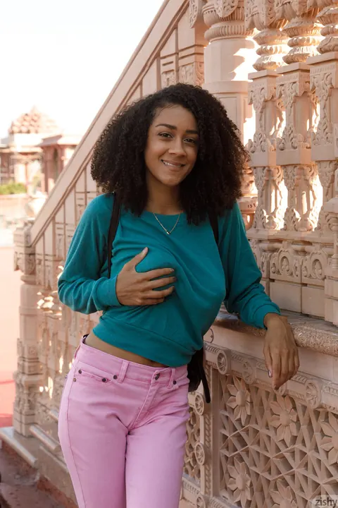 Ariana Aimes: Amateur Ebony Brunette Flashes Her Big Natural Tits Outdoors – photo 5 of 13