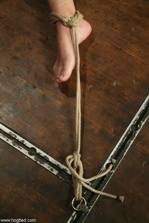 Kylee King: Petite Brunette MILF Uses a Dildo in Rope Bondage – photo 1 of 21