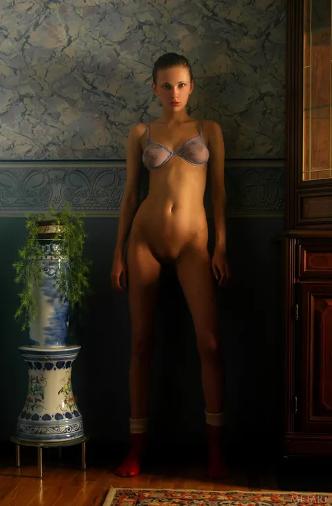 European Babe Poses in Sheer Pantyhose and Socks – photo 14 of 21