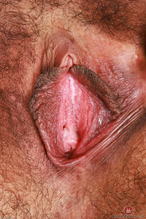 Latina Undresses to Show Her Hairy Bush – photo 19 of 21