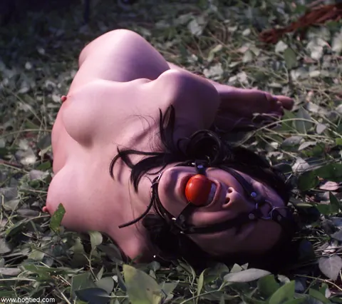 Paige Richards: Busty Brunette MILF Bound in Outdoor Bondage – photo 13 of 21