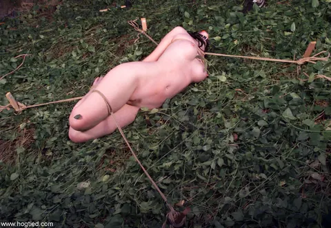 Paige Richards: Busty Brunette MILF Bound in Outdoor Bondage – photo 19 of 21
