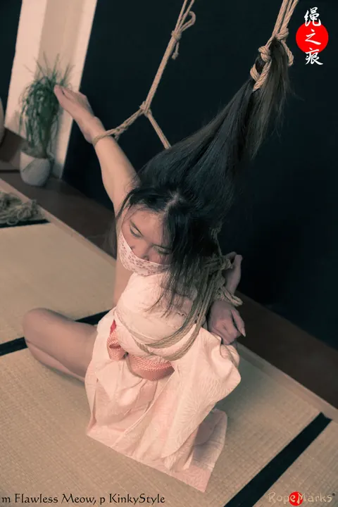Asian Brunette Restrained by Rope on Limbs and Hair – photo 6 of 16