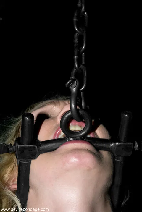 Rain DeGrey: Blonde with Big Tits Bound and Uses a Dildo – photo 12 of 21