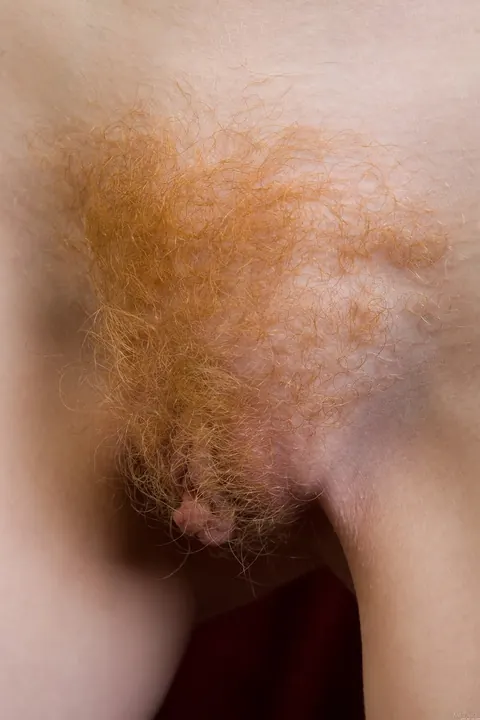 Skinny Curly Redhead Strips and Spreads Her Hairy Pussy – photo 3 of 20