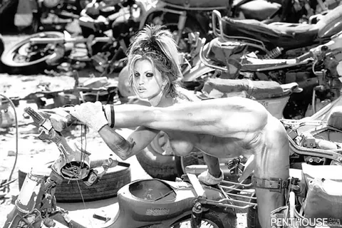Janine Lindemulder: Thick Blonde MILF Spreads Her Pussy Outdoors – photo 8 of 16