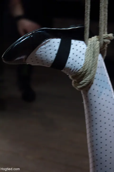 Amber Rayne: Petite Brunette MILF Tied Up and Ball-Gagged in Bondage – photo 14 of 21