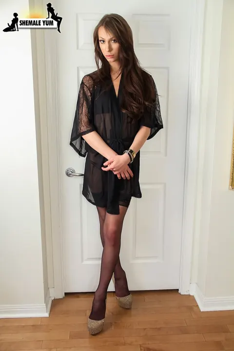 Trans Woman Poses in Stockings Panties and Heels – photo 1 of 16