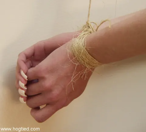 Michelle Monroe: Skinny Brunette with Big Tits Tied Up in Bondage – photo 6 of 15