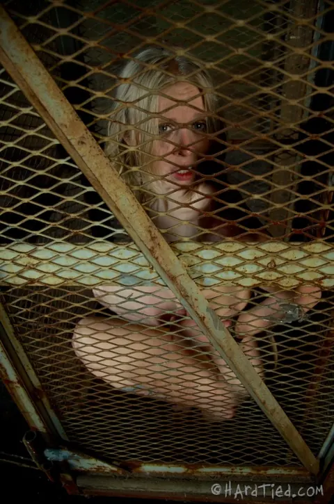 Sarah Jane Ceylon: Thick Blonde MILF Restrained and Spread in Outdoor Dungeon – photo 2 of 16