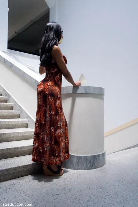 Ebony Trans Woman in a Dress Dominates with Bondage – photo 3 of 21