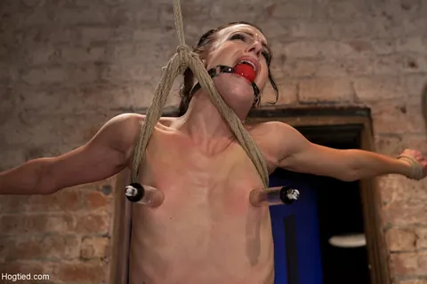 Elise Graves: Two Brunette Latina MILFs Bound in Hogtie Bondage in Skirts – photo 14 of 20
