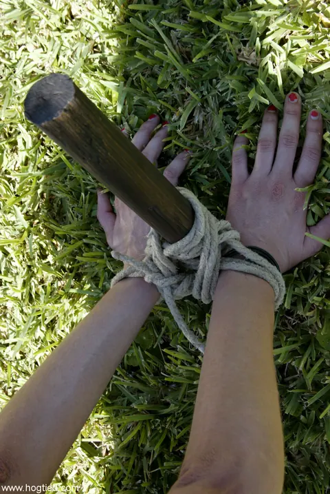 Dee Williams: Blonde and Brunette MILFs Hogtied Naked in Bondage – photo 2 of 21