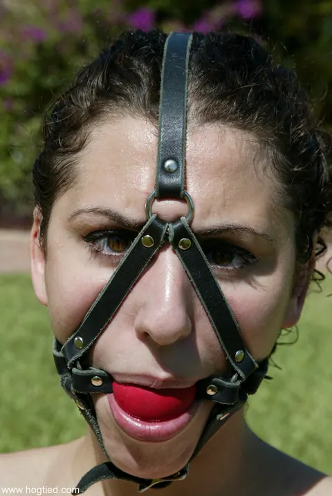 Dee Williams: Blonde and Brunette MILFs Hogtied Naked in Bondage – photo 1 of 21