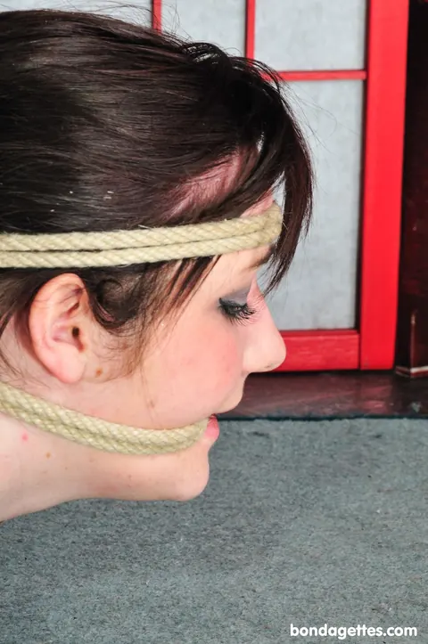 Brunette BBW with Big Tits Gets Bound and Restrained – photo 17 of 21