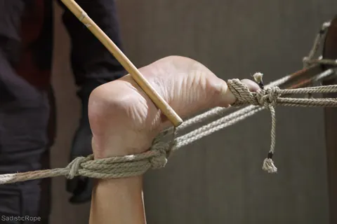 Andre Shakti: Petite Brunette in Lingerie Endures Rope Bondage and Anal Fingering – photo 16 of 21