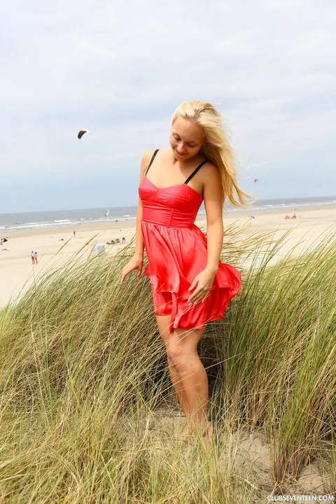 Blonde Pulls Her Dress Up and Spreads on the Beach – photo 2 of 21