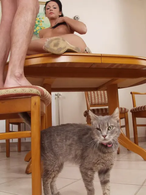 Ginger Nice: Brunette Takes Anal Doggy Style and Gets a Cumshot – photo 13 of 21