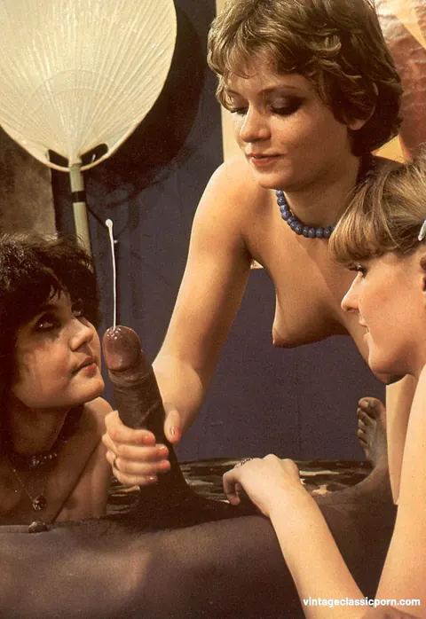 Two Short-Haired Women Share a Black Cock in Vintage Threesome – photo 20 of 20