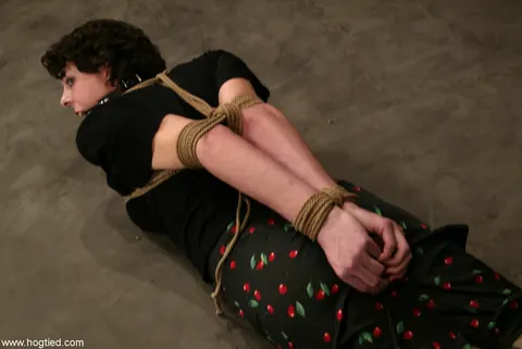Brunette in a Skirt and Panties Spreads While Hogtied – photo 2 of 15