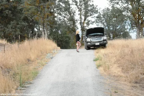 Kelly Wells: Blonde MILF in Heels Gets Bound and Fucked Outdoors by the Car – photo 6 of 20