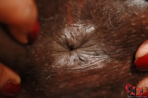 Jasmine Webb: Tattooed Ebony Babe Oils Her Ass and Fingers Her Anal Hole – photo 7 of 16
