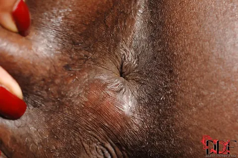 Jasmine Webb: Tattooed Ebony Babe Oils Her Ass and Fingers Her Anal Hole – photo 5 of 16
