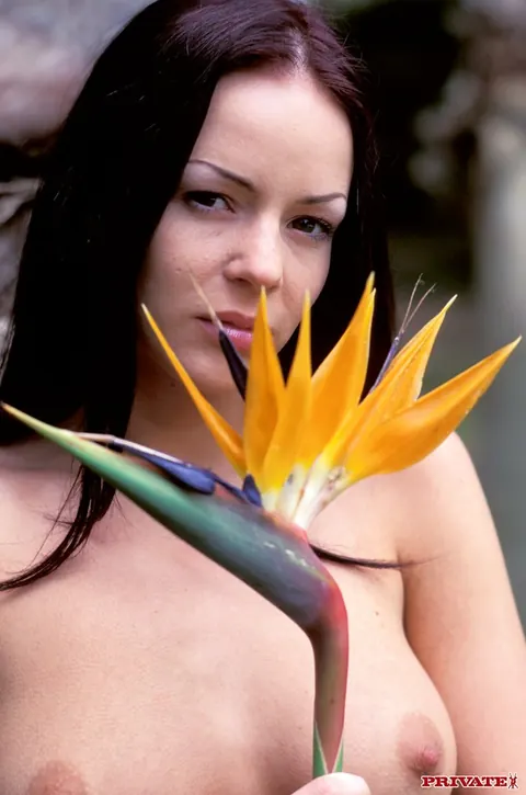 Kate Moore: Busty Brunette Takes Anal and Eats Pussy Outdoors – photo 11 of 20