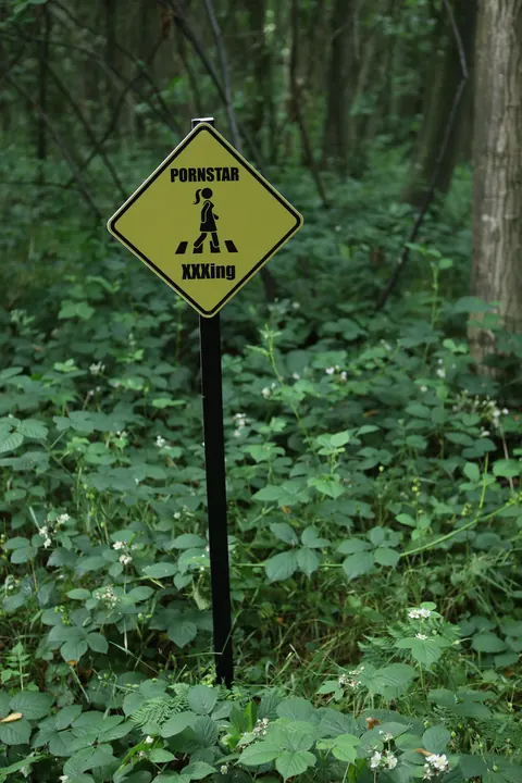 Alice Judge: Busty Brunette in Glasses Fucked Against Trees in the Forest – photo 7 of 21