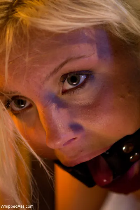 Ashley Fires: Curvy Blonde MILF Dominates Petite Woman with a Strap-On in Leather – photo 17 of 21