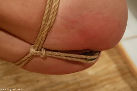 Skinny Brunette Endures Rope Bondage and Spreads – photo 16 of 20
