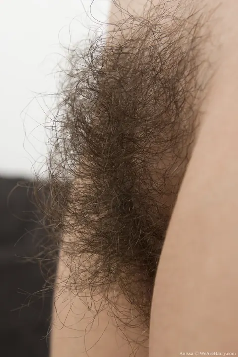 Brunette Reveals Her Hairy Bush and Spreads Wide – photo 16 of 16