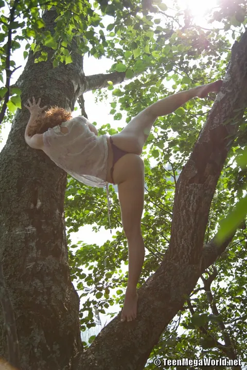 Curly Redhead PAWG Strips Nude in the Forest – photo 3 of 21