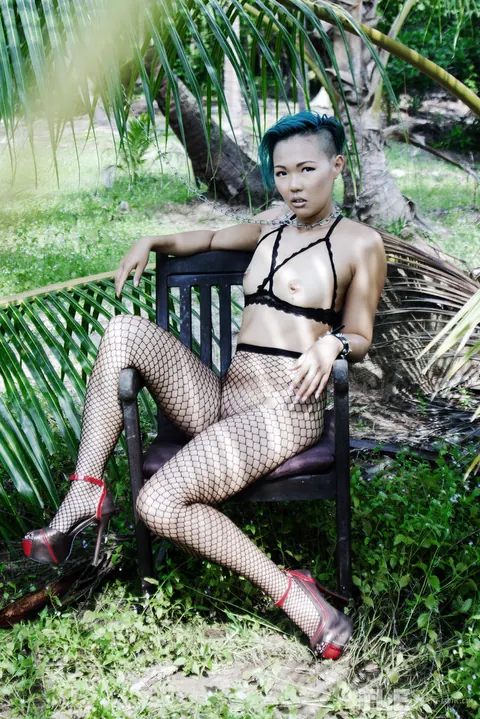 Sweet Julie: Asian Woman in Fishnet Pantyhose Spreads Her Pussy Outdoors – photo 1 of 16
