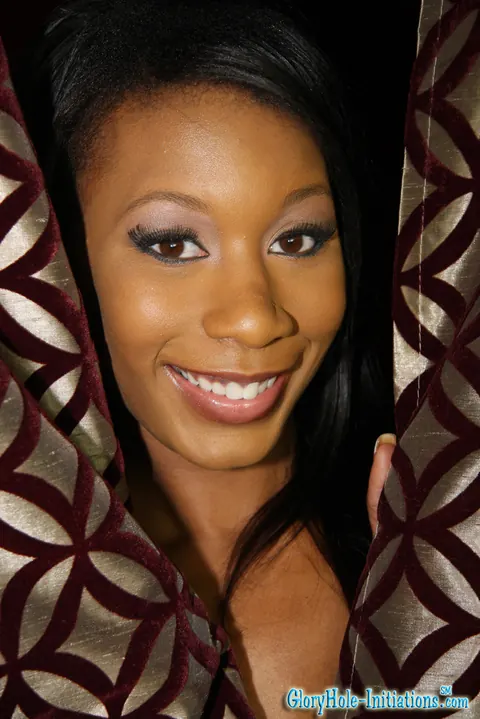 Rane Revere: Busty Ebony Babe in a Bikini and Heels Sucks and Jerks Cock Through Wall – photo 1 of 19