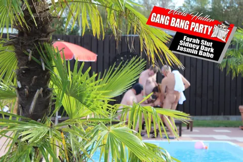 Sidney Dark: Busty Brunette in a Bikini Joins Poolside Group Sex – photo 1 of 16